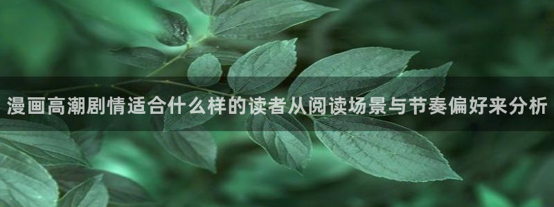 漫蛙漫画网页版导航：漫画高潮剧情适合什么样的读者从阅读场景与节奏偏好来分析