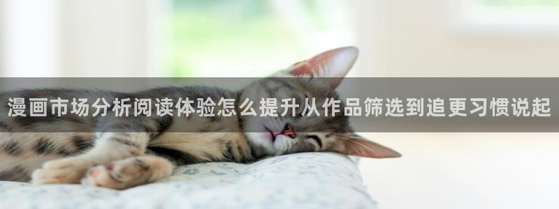 漫蛙漫画本月热门漫画：漫画市场分析阅读体验怎么提升从作品筛选到追更习惯说起